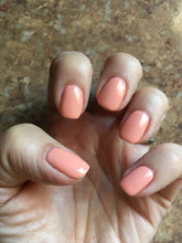 Load image into Gallery viewer, CND VINYLUX - Salmon Run #181
